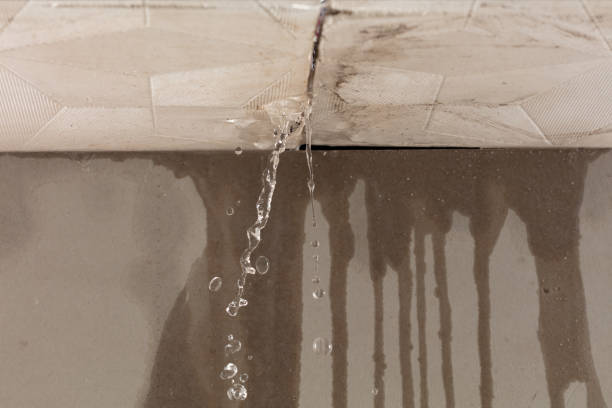 Professional Water Damage Restoration technician working in Iona, FL